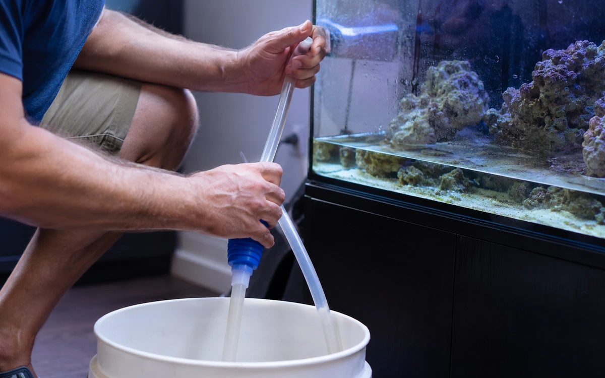 Aquarium maintenance contractor